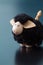 Smiling black sheep toy figurine with big ears on a blue surface