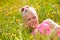 Smiling blond girl in yellow flowers portrait