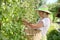 Smiling blond woman picking fruits