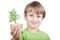 Smiling boy holds little artificial tree