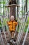 Smiling Boy on Playground in Woods, Playing on Rope Track