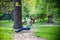 Smiling boy rides a zip line. happy child on the zip line. The kid passes the rope obstacle course