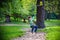 Smiling boy rides a zip line. happy child on the zip line. The kid passes the rope obstacle course