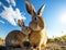 A smiling brown rabbit mother playing with her baby in an affectionate moment, blurred green grass and blue sky, generative AI