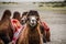 The smiling camel in Himalaya desert