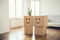 Smiling cardboard boxes and potted plant in empty room