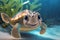 Smiling cartoon baby turtle with big eyes close-up on a background of algae and sand.Stylized cute sea turtle.