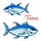 Smiling cartoon bluefin tunas for fishing design