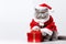 a smiling cat wear santa claus suit holding gift box on white background