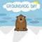 Smiling character of woodchuck on winter background. Happy