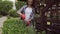 Smiling charming woman trimming overgrown branches on bushes