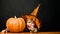 Smiling child boy in witch hat with pumpkin. Halloween holidays. Cute kid with Halloween pumpkin. Autumn recipes