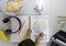 Smiling child girl draws planet earth with wax colors on school notebook for Earth day - Little activist girl writes the message