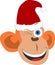 Smiling Christmas monkey.