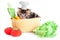 Smiling cook kitten with toy vegetables isolated