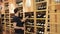 Smiling couple choosing together bottle of wine in wine houses, a young couple chooses wine on a wine shelf in a store