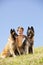 Smiling cute boy with two Belgian shepherds