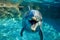 smiling dolphin in blue water, dolphin and human