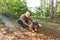 Smiling elderly man stroking dog on ground in forest