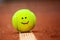 Smiling emoji on tennis ball lies on the clay court