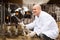 Smiling employee working with milky cows in cowhouse outdoors