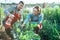 Smiling farmer couple watering a broccoli plantation with a sprinkler in an organic field