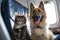 smiling feline and canine flight attendants preparing for takeoff on passenger plane