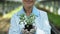 Smiling female biologist holding green plant, greenhouse cultivation, botany