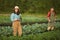 Smiling Female Farmer Working in Plantation