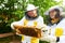 Smiling female and male apiarist analyzing honeycomb frame