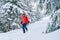 Smiling female trekker dressed red jacket in sunglases with trekking poles walking by snowy slope with fir-trees covered snow, Low