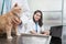 Smiling female vet when typing using laptop behind male vet examining cats