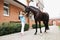 Smiling female veterinarian conducts physical examination of black horse