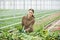 Smiling Female Worker Sorting Flowers