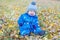 Smiling funny baby boy sitting on yellow leaves in autumn