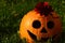 Smiling funny Halloween Jack O Lantern made of carved gouged out pumpkin with big round eyes, single large tooth and fabric rose o