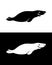 Smiling fur-seal silhouette