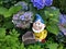 Smiling garden dwarf with a blue hat, yellow jacket and a wheelbarrow between blue hydrangeas