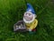 Smiling garden dwarf with a blue hat, yellow jacket and a wheelbarrow full of pebbles on a green meadow