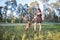 A smiling girl and a clever beautiful dog on the background of the park