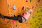 Smiling girl climbs the steep wall on the climbing gym