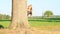 Smiling girl waving behind tree