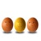 smiling golden egg with happy face and with a crown among chicken eggs on white background