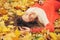 Smiling happy girl portrait, lying in autumn leaves, relax with closed eyes, dressed in fashion sweater