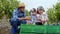 Smiling happy old man and woman with their nephew selecting the grapes from the plastic boxes in the middle of vineyard