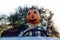 Smiling, happy, welcoming, fun friendly pumpkin head scarecrow driving an old truck to a halloween harvest party