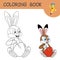 Smiling Hare sitting and painting brush Easter egg. Coloring book with Easter Rabbit and egg. Colorless and color samples.