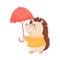 Smiling Hedgehog Character Holding Umbrella and Wearing Coat in Rainy Day Vector Illustration