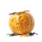 Smiling Jack-O-Lantern pumpkin isolated