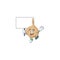 Smiling jicama cute cartoon style bring board